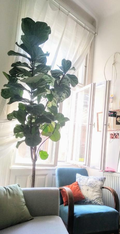 Jolie Apartment In Historical Center Budapeszt Zewnętrze zdjęcie