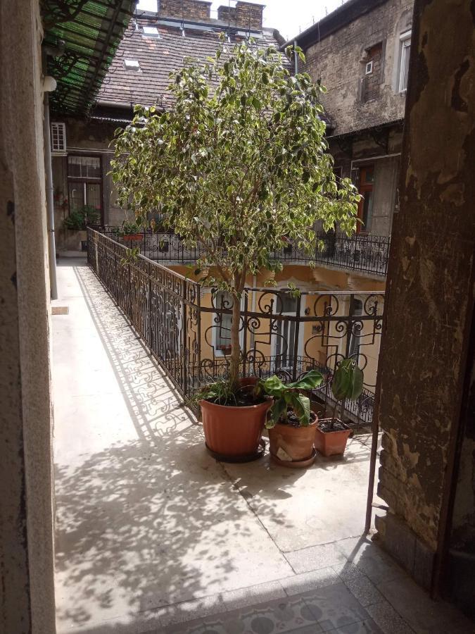 Jolie Apartment In Historical Center Budapeszt Zewnętrze zdjęcie